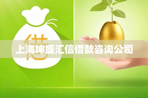 上海坤盛汇信借款咨询公司 上海坤盛汇信借款咨询公司