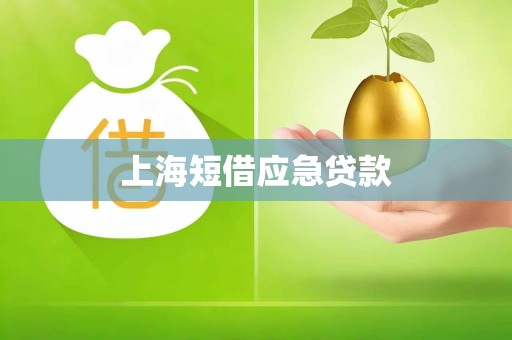 上海短借应急贷款 上海短借应急贷款