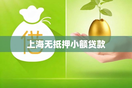 上海无抵押小额贷款