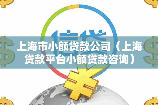 上海市小额贷款公司(上海贷款平台小额贷款咨询)