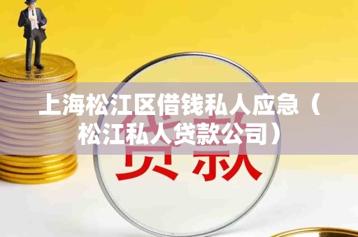 上海松江区借钱私人应急(松江私人贷款公司) 上海松江区借钱私人应急(松江私人贷款公司)