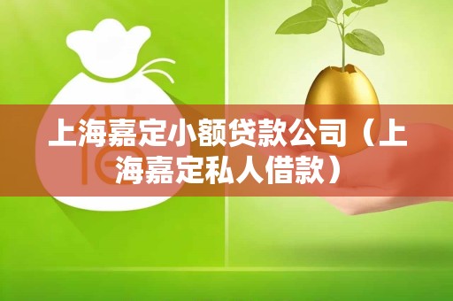 上海嘉定小额贷款公司（上海嘉定私人借款）