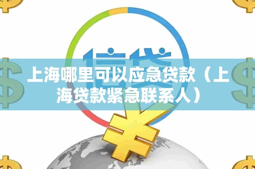上海哪里可以应急贷款(上海贷款紧急联系人)
