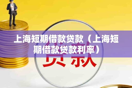 上海短期借款贷款(上海短期借款贷款利率)