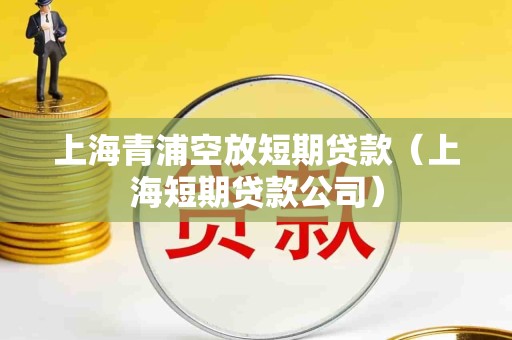 上海青浦空放短期贷款(上海短期贷款公司) 上海青浦空放短期贷款(上海短期贷款公司)